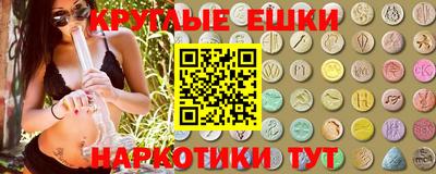 a pvp Гатчина