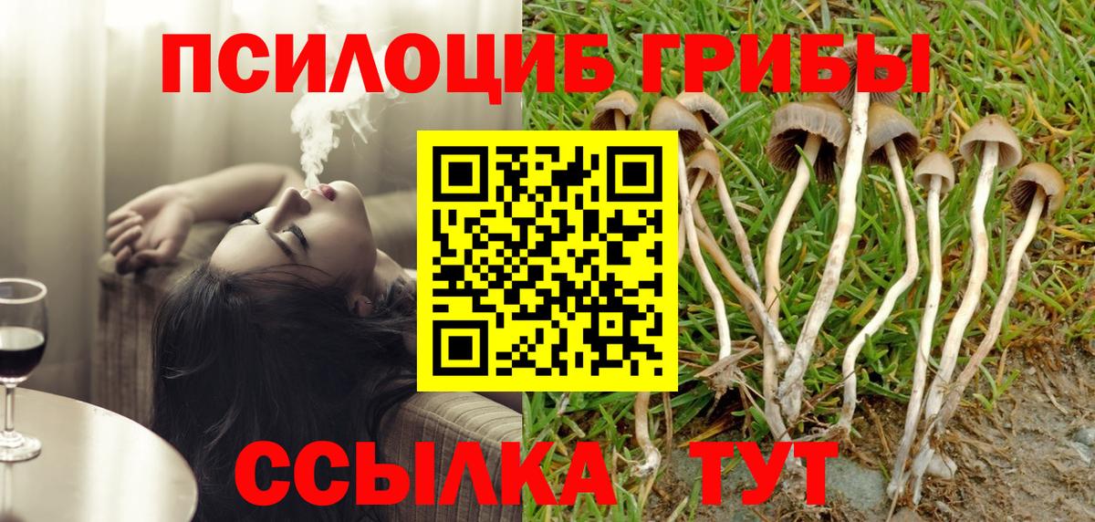 Галлюциногенные грибы Psilocybe  продажа наркотиков  Куйбышев  Вход с VPN 